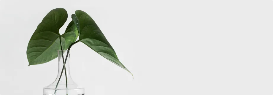 Explore Our Latest Case Studies - 虎扑体育
